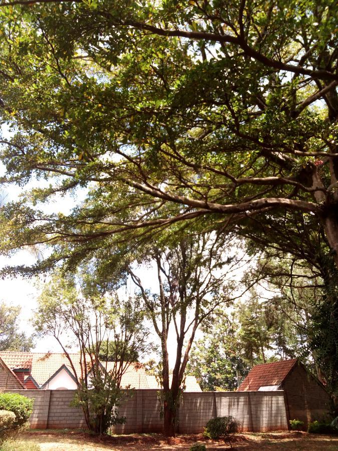 Kijiji Homestay Nairobi Extérieur photo